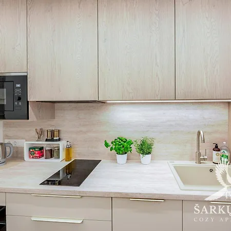 Apartmán Sarkuguzta Cozy