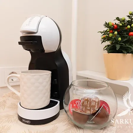 Appartement Sarkuguzta Cozy *