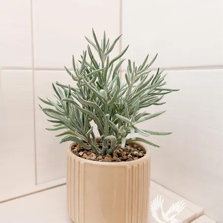 Appartement Sarkuguzta Cozy