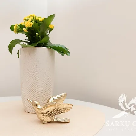 Sarkuguzta Cozy