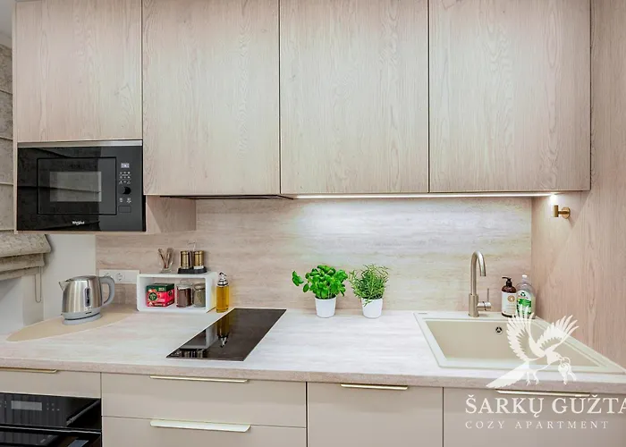 דירה Sarkuguzta Cozy