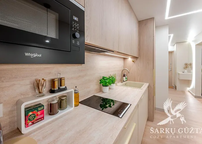 Sarkuguzta Cozy דירה קובנה