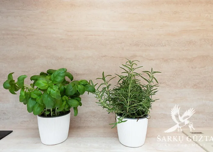 Sarkuguzta Cozy * קובנה