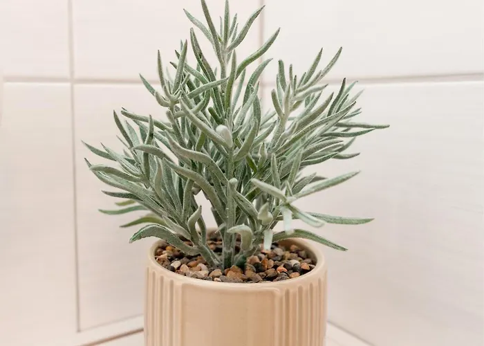 דירה Sarkuguzta Cozy